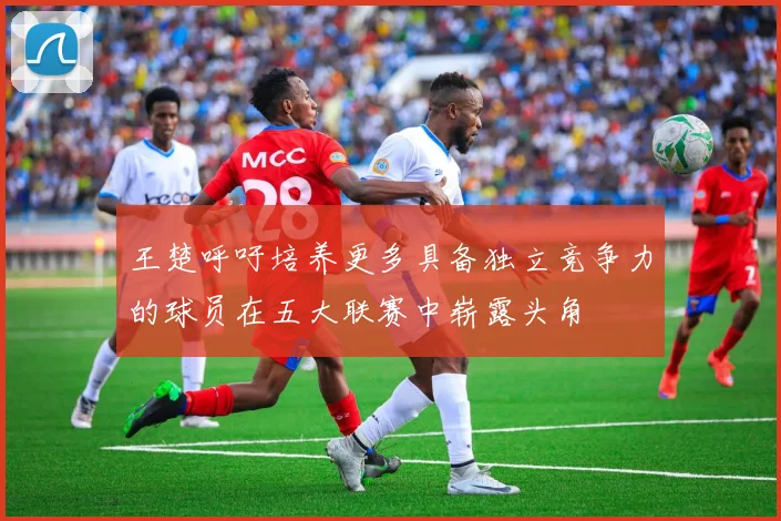 王楚呼吁培养更多具备独立竞争力的球员在五大联赛中崭露头角