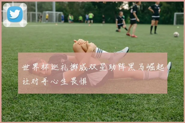 世界杯巡礼挪威双星助阵黑马崛起让对手心生畏惧